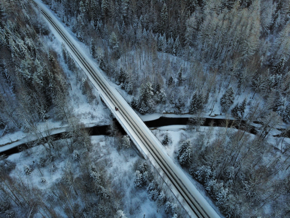 Смертельная авария с участием погрузчика произошла на трассе в Ленобласти
