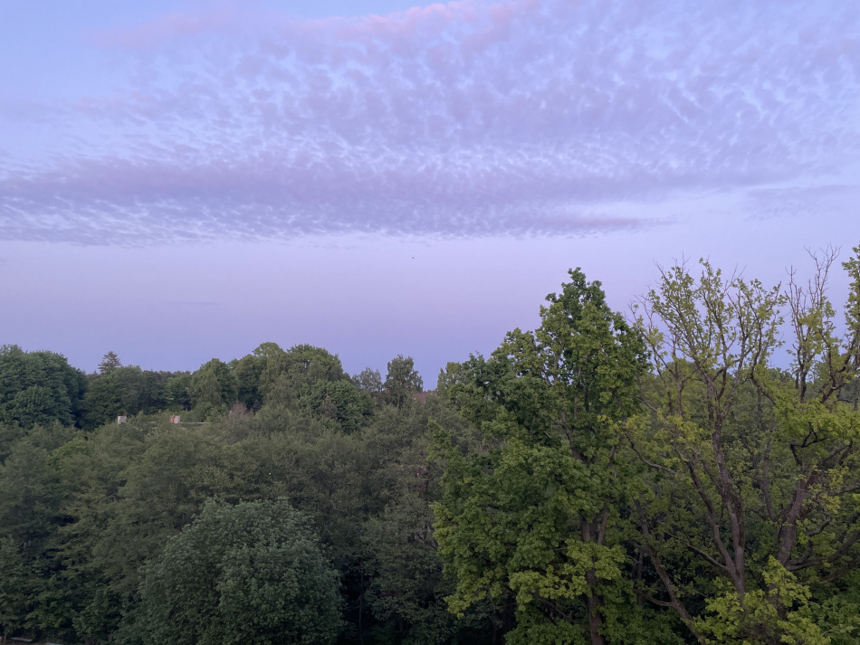 В Красноярском крае возобновили поиски семьи Усольцевых