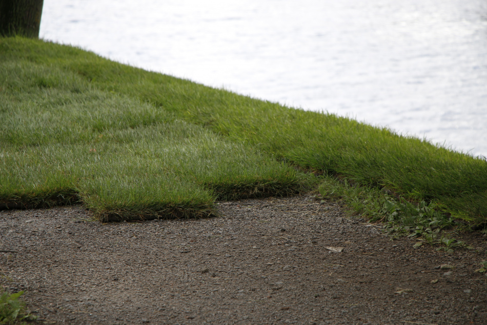 Бывший чиновник Красногвардейского района получил условный срок за ущерб парку