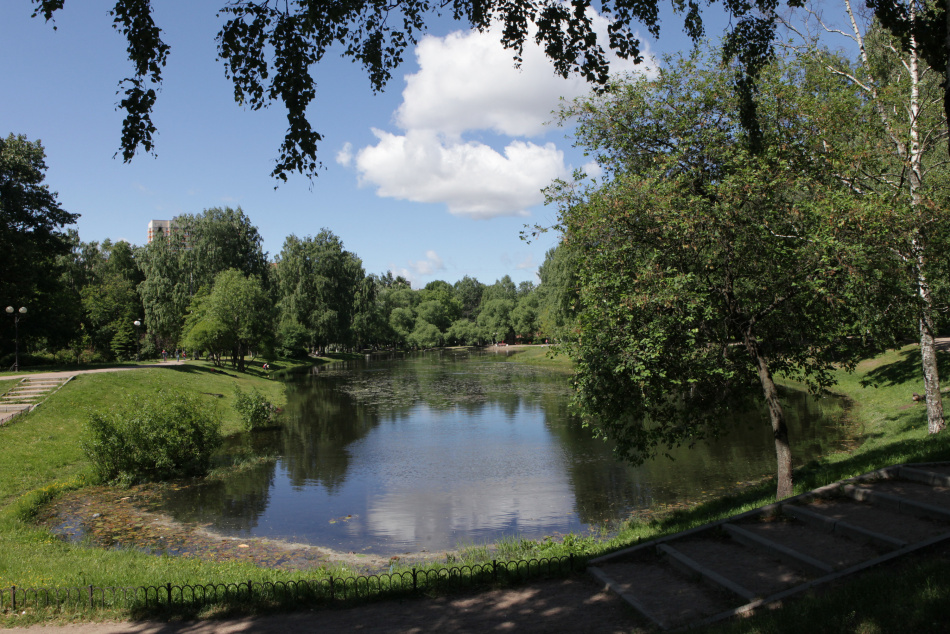 Москвича арестовали на 15 суток за нецензурную брань у пруда