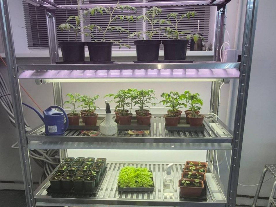 Петербургский аграрный университет и Росбиотех наметили новые научные проекты