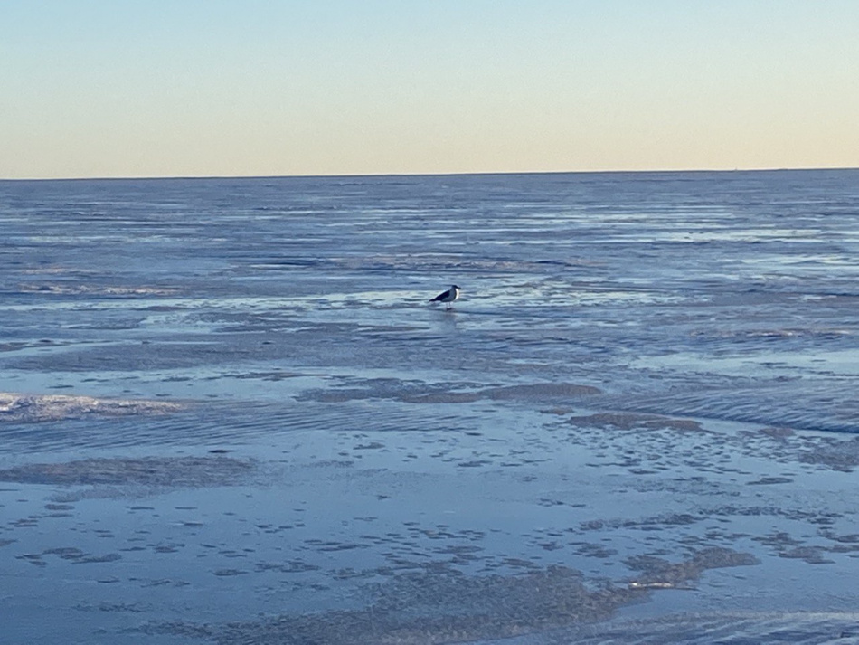 Спасатели предупредили об опасностях выхода на воду после закрытия навигации