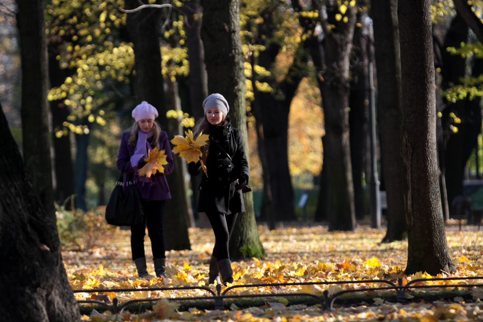 Осенью 2025 года петербуржцы чаще выбирали аренду жилья в Подмосковье