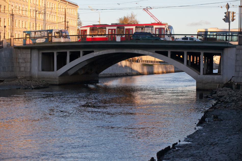 На Обводном канале в Петербурге заметили лису