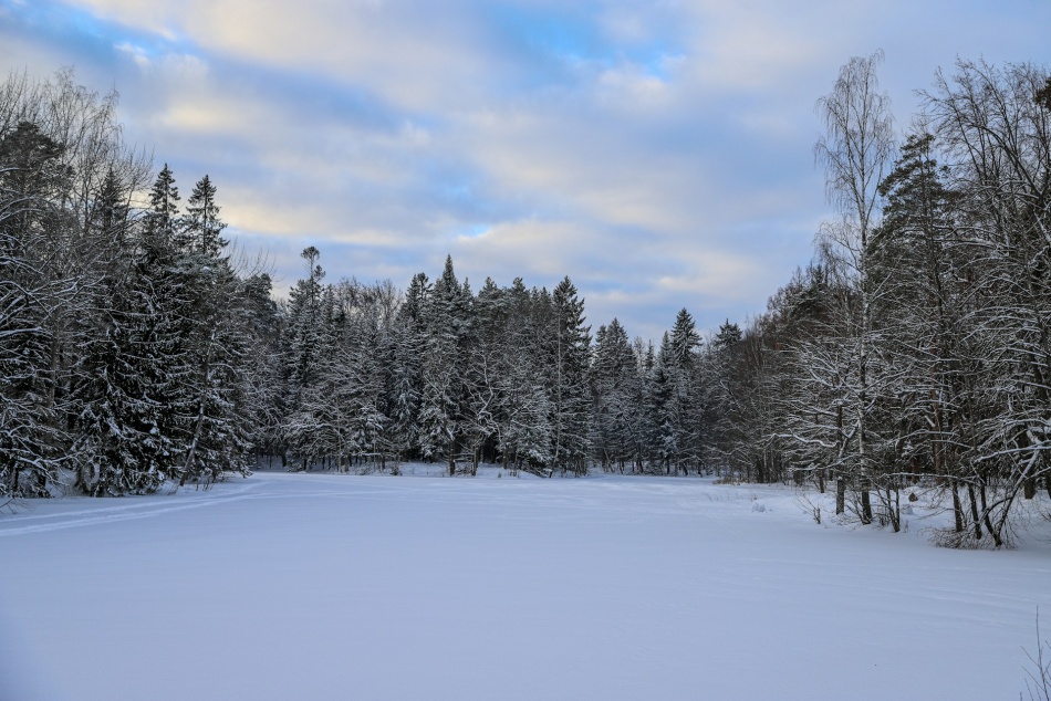 Кто выступит в Петербурге зимой 2025/2026: Pupo, «Иванушки International» и Любовь Успенская