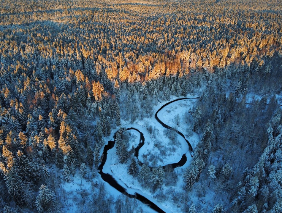 Спасатели Ленобласти за неделю 49 раз выезжали на вызовы и спасли пять человек