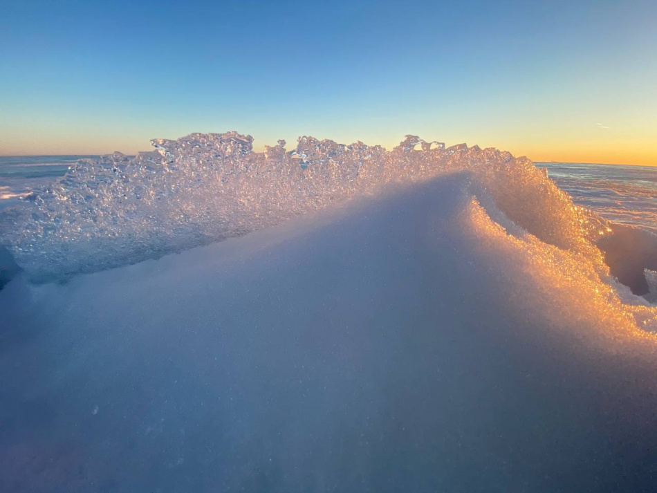 Древняя РНК мамонтенка из сибирских льдов раскрыла детали его гибели спустя 39 тысяч лет