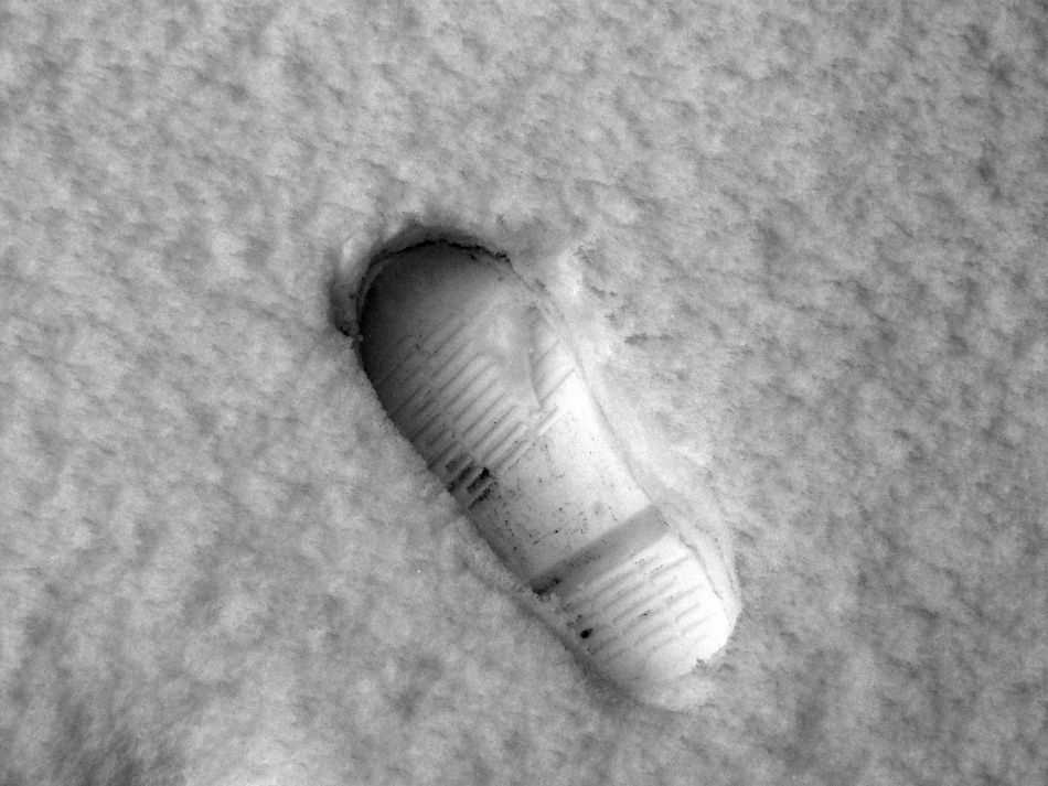 Тринадцатилетняя девочка исчезла за две недели до трагедии на Ковалевской