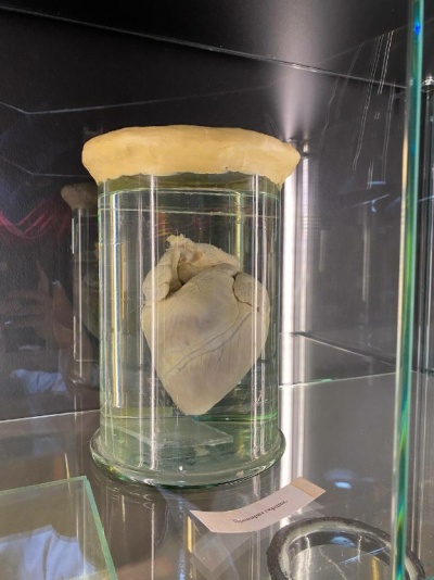 Фото Art attractions