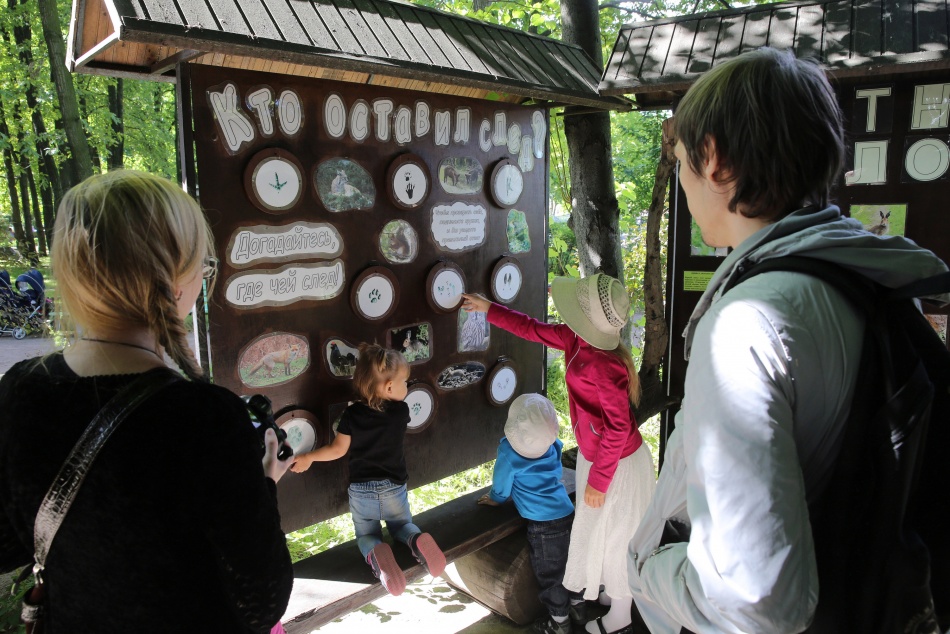 Манул из Московского зоопарка удивил зрителей неудачной попыткой взобраться на дерево