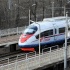 Стоимость билетов на «Сапсан» в новогодние дни останется неизменной