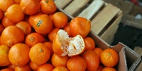 В 2025 году цены на мандарины снизились на треть