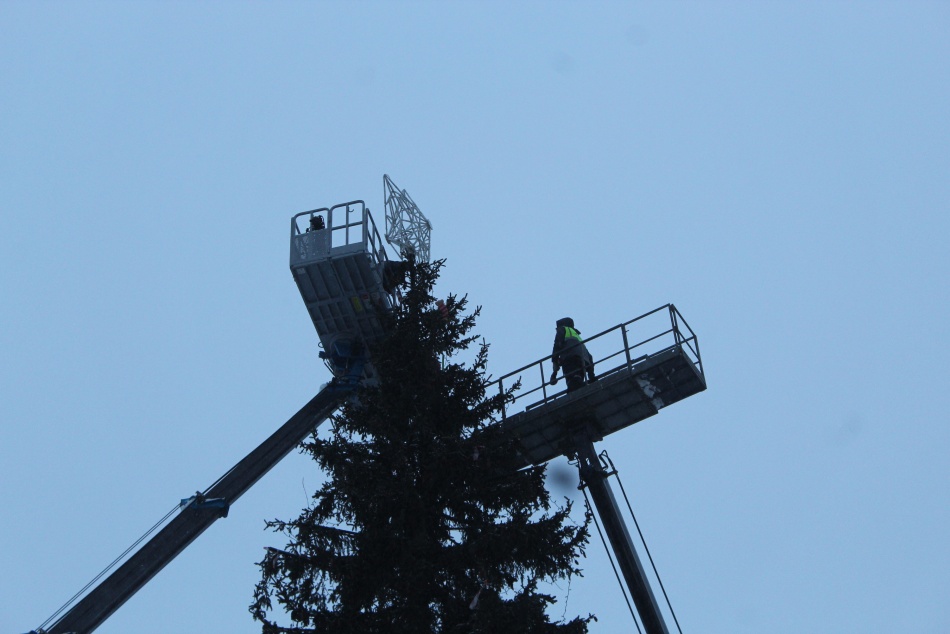 В центре Петербурга начали собирать главную елку у Марсова поля