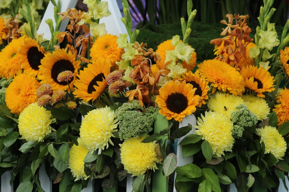 Цветочные букеты в России подорожают к ноябрю накануне Дня матери