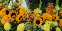 Цветочные букеты в России подорожают к ноябрю накануне Дня матери