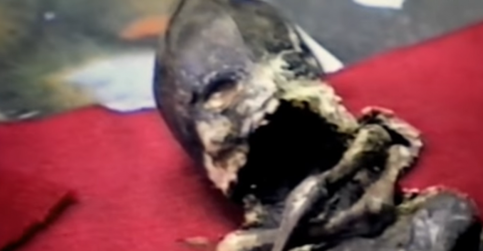 В Екатеринбурге обсудили исчезновение тела кыштымского карлика Алешеньки