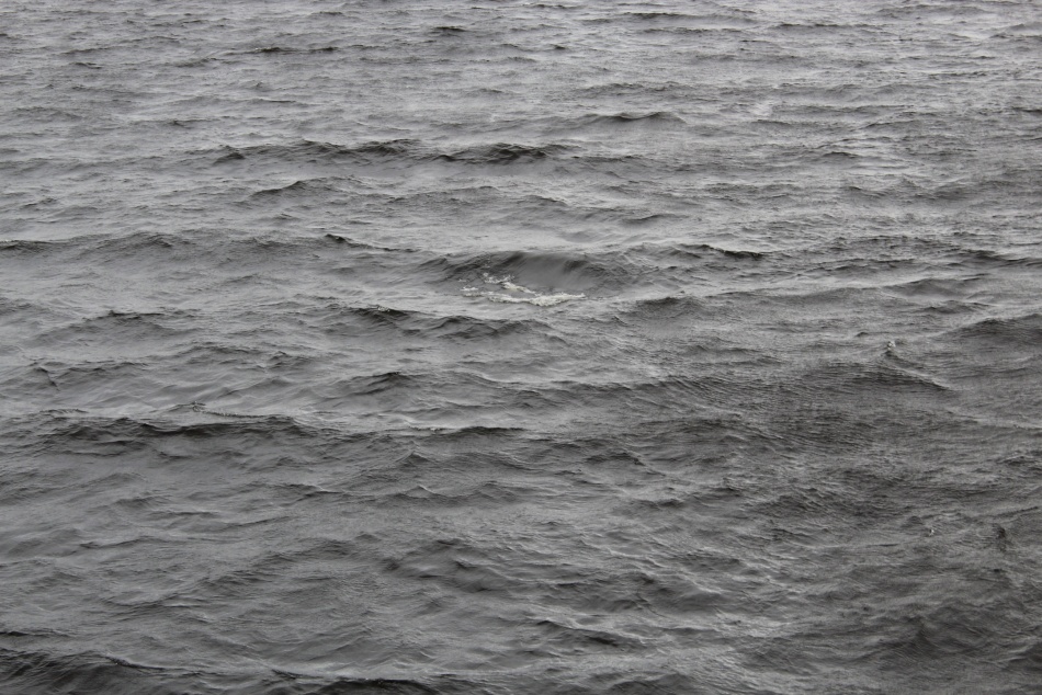 В Ленобласти жители деревни оказались отрезаны из-за запрета на переправу