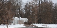 На Елагином острове ястребиная сова и ястреб устроили неожиданную встречу