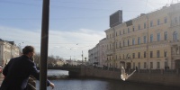 В Петербурге обсудили меры по ограничению подкормки городских птиц у памятников