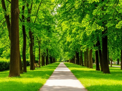 Фото Сергиевка (Усадьба Лейхтенбергских)