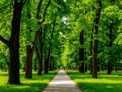 Фото Колонистский парк Фото Колонистский парк