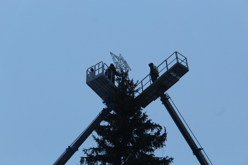 В Кремль доставят главную новогоднюю ель страны из Подмосковья