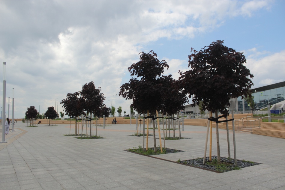 В Ленобласти в 2025 году открыли более сотни новых общественных пространств