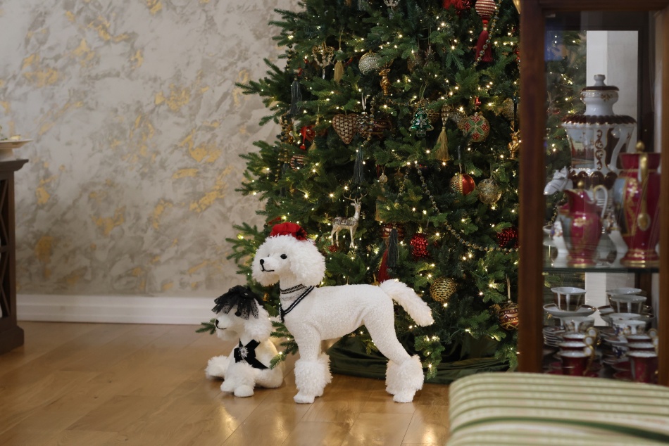 В Петербурге стартовала акция по сбору новогодних подарков для пожилых