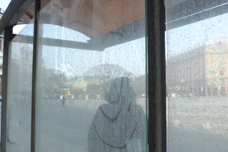 Дорожные службы займутся восстановлением остановки после подросткового погрома на Васильевском