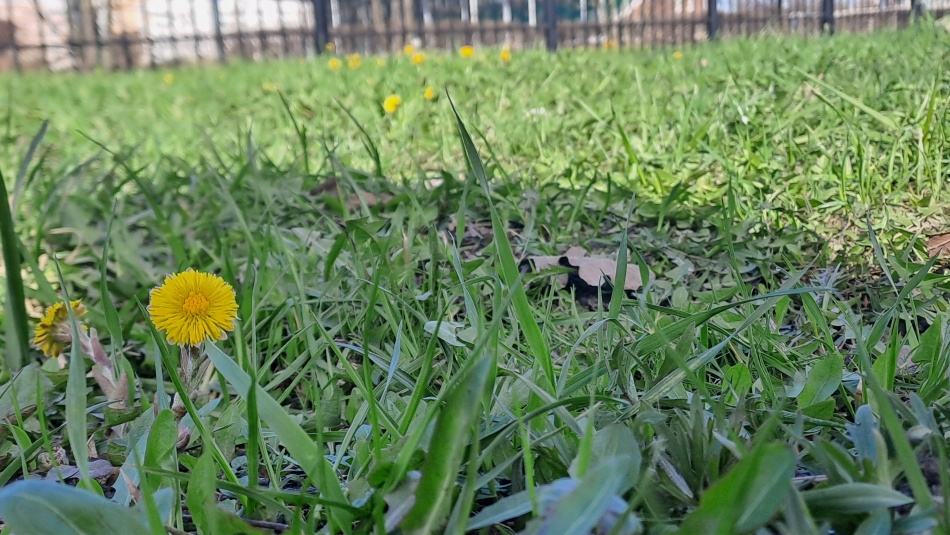 В Петербурге в 2026 году преобразят свыше 50 общественных зон