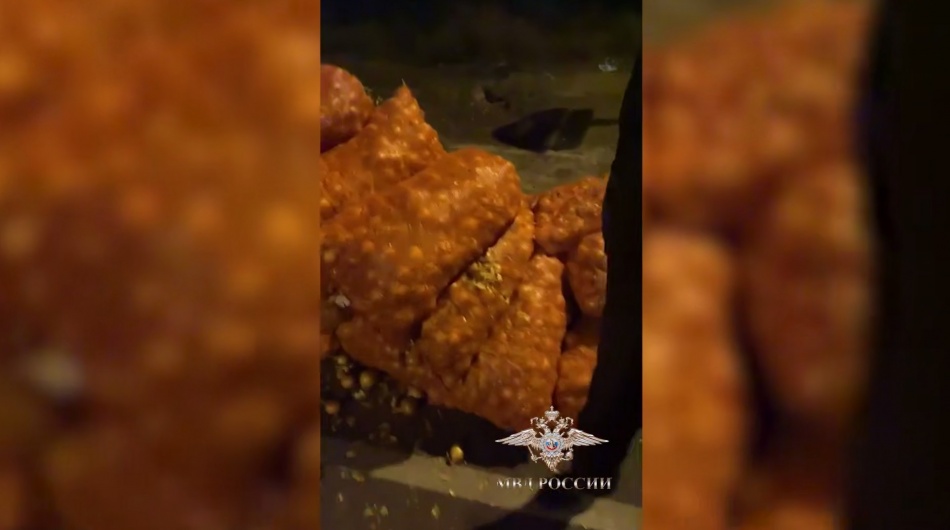 В Астрахани пресекли перевозку 6,5 тонны осетровых под луковой маскировкой