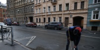 Петербуржец получил 230 часов работ за выброшенного из окна кота Бубу