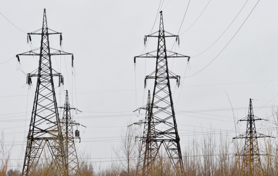 Суд обязал «Россети Ленэнерго» защитить птиц на ЛЭП в Ленобласти