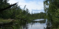 В России планируют открыть новые зоны отдыха у водоемов для туристов
