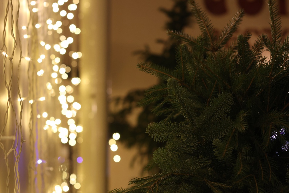 Финансовое благополучие и здоровье стали главными новогодними мечтами россиян