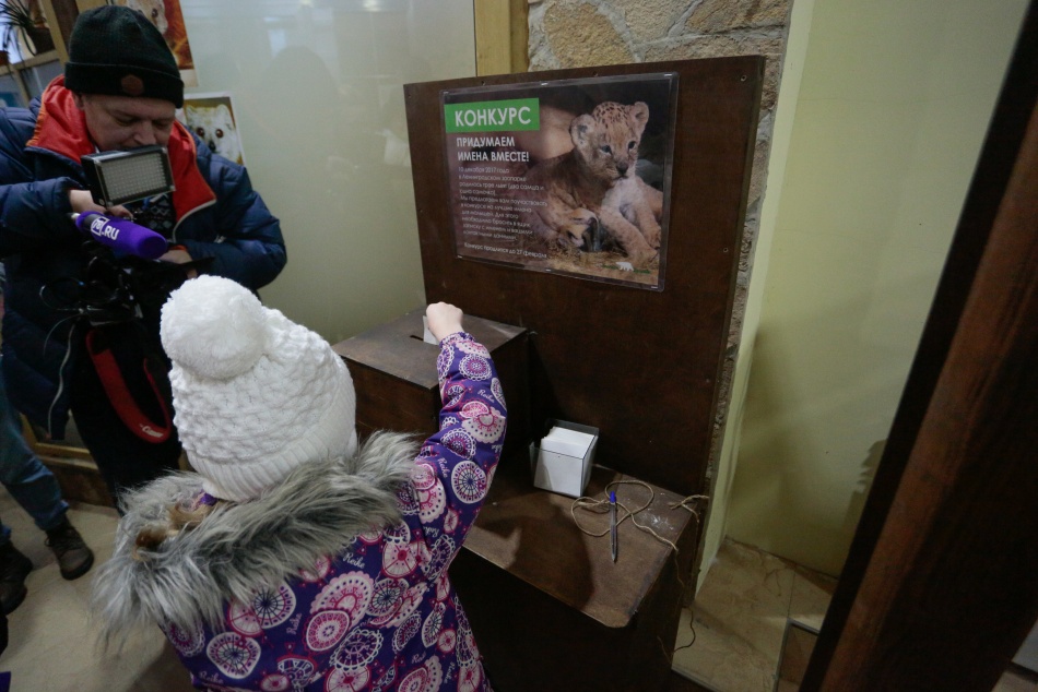 Поставки кормов и животных в Ленинградский зоопарк осложнились из-за санкций