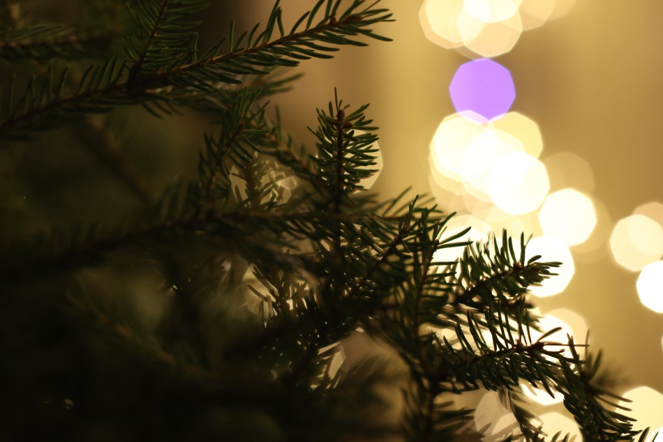 Мошенники активизировались перед Новым годом: как не стать жертвой обмана