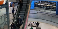 Посетителей ТЦ «Мега Дыбенко» в Петербурге вывели из-за технического сбоя
