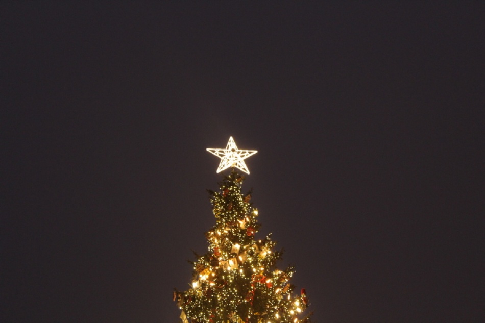 На Дворцовой площади Петербурга устанавливают новогоднюю елку в ретростиле