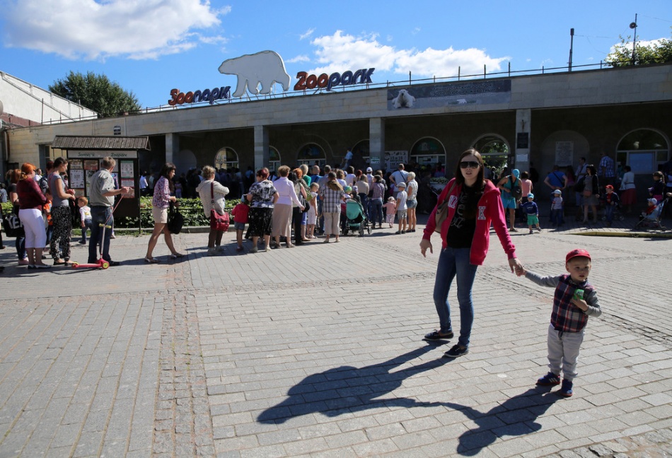 Манул Шу из Ленинградского зоопарка подготовился к зиме и достиг рекордного веса