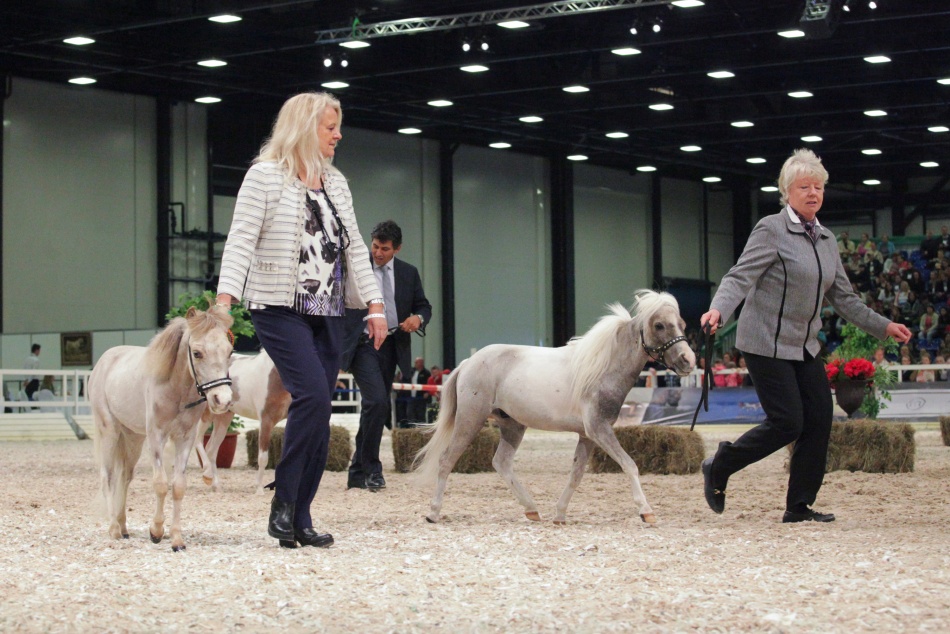 В Рощино появится контактный зоопарк с капибарами и пони