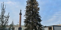 На Дворцовой площади Петербурга зажгли главную новогоднюю ель города