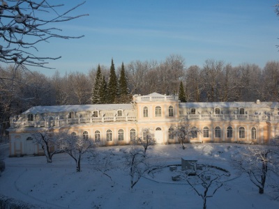 Фото Детская елка Дед Мороз и тайна Большой оранжереи