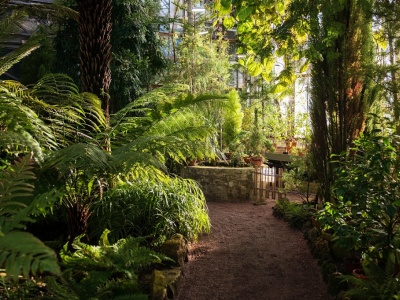 Фото Фестиваль Ботанический Новый год