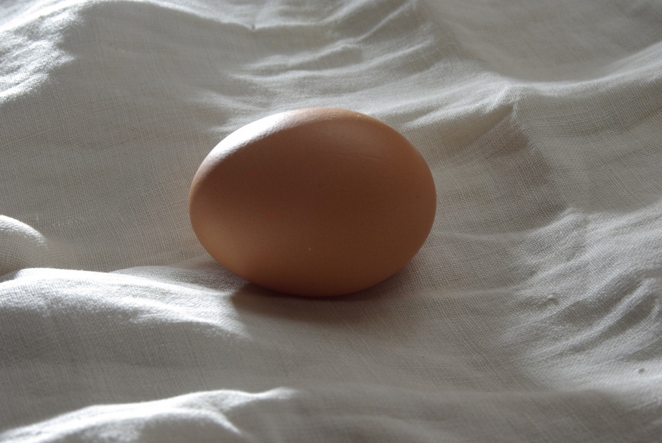 Житель Ленобласти не смог взыскать компенсацию за испорченные продукты после отключения света