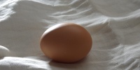 Житель Ленобласти не смог взыскать компенсацию за испорченные продукты после отключения света