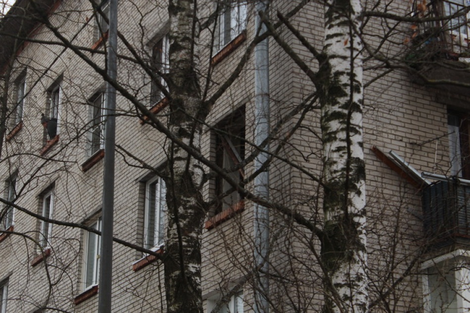 В Петербурге изменились правила реновации хрущевок