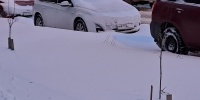 В Ленобласти устранили более 80 аварий на электросетях после снегопада
