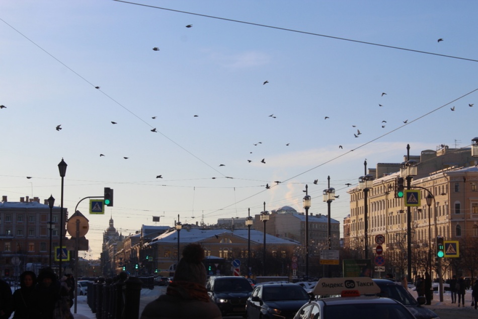 В Петербурге на Рождество установится морозная и ясная погода