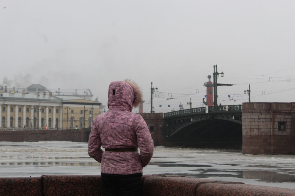 В Петербурге увеличили число станций для контроля чистоты воздуха в городе